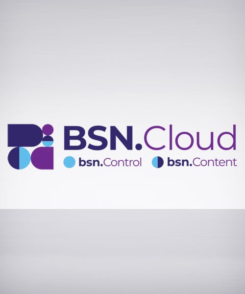 BSNCSUB-12